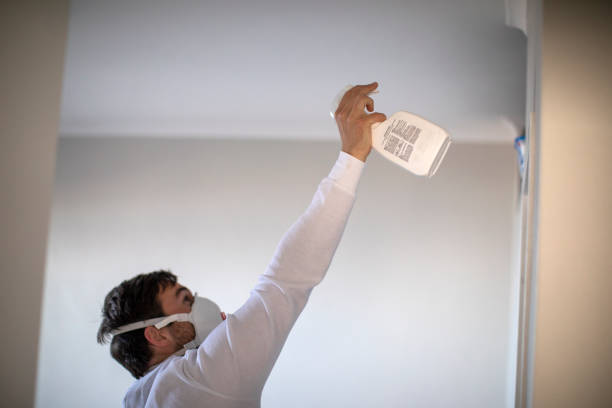 Trusted Bernice, LA Mold Removal Experts