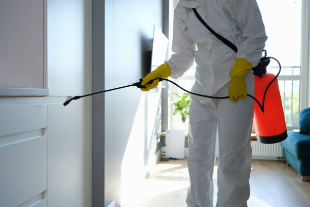 Certified Mold Removal in Bernice, LA